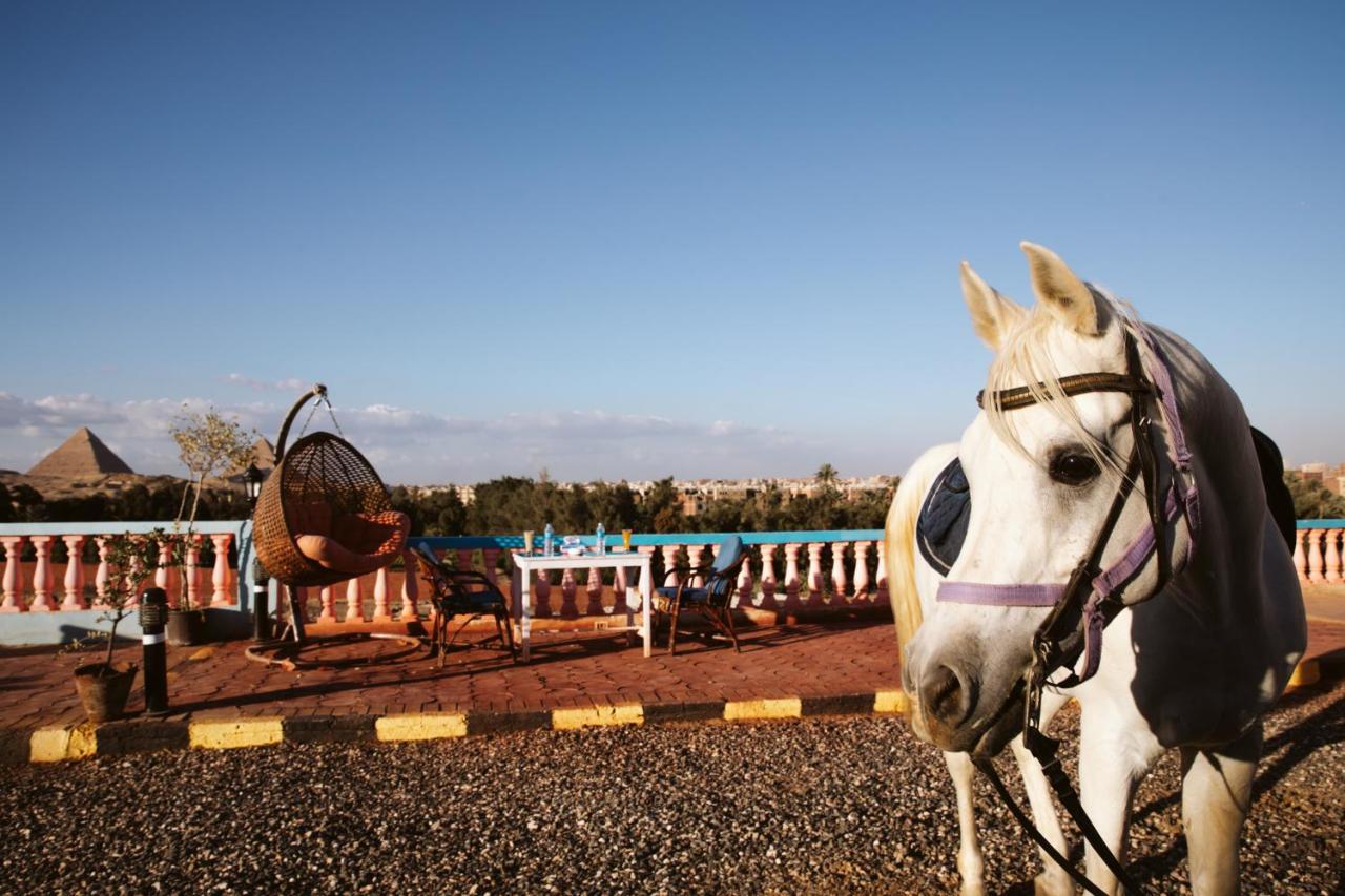 Heru Pyramids View Hotel Kairó Kültér fotó
